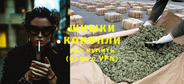 стафф Михайловск