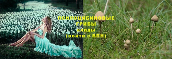 стафф Михайловск