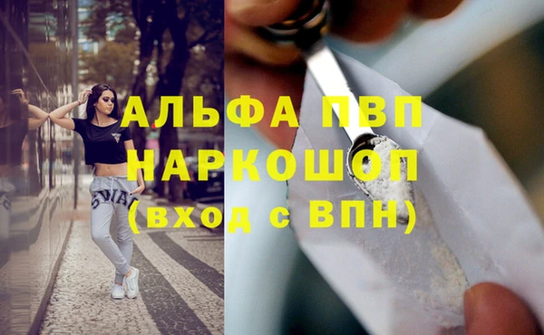 стафф Михайловск