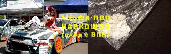 стафф Михайловск
