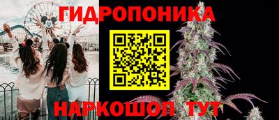 соль ск Заводоуковск