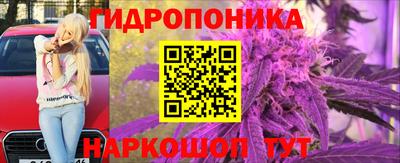 мяу мяу мука Жуковский