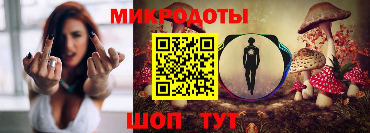 Красногорск  Галлюциногенные грибы GOLDEN TEACHER  где найти наркотики  Псилоцибиновые грибы Psilocybe  Вход с VPN 
