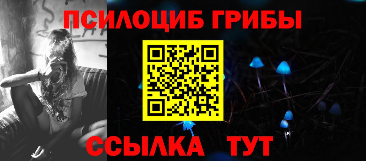 Галлюциногенные грибы мухоморы Красногорск